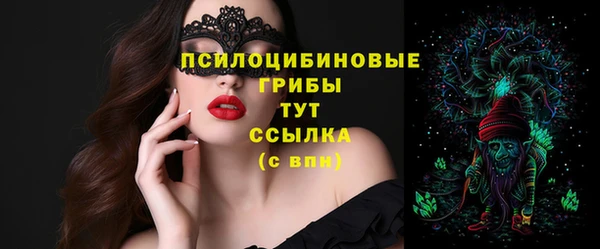 apvp Алексин