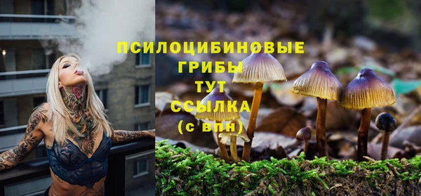 apvp Абаза